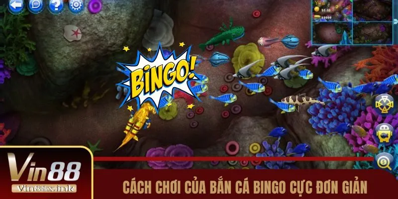 Cách chơi của bắn cá Bingo cực đơn giản