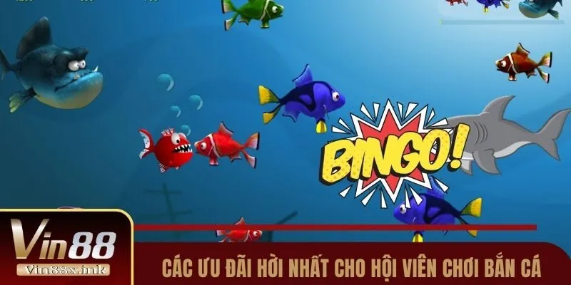 Các ưu đãi hời nhất cho hội viên chơi bắn cá