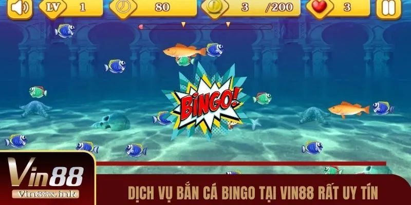 Dịch vụ bắn cá Bingo tại Vin88 rất uy tín