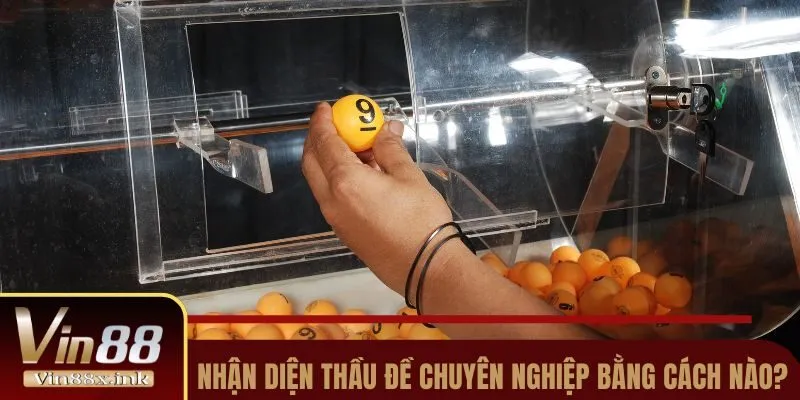 Nhận diện thầu đề chuyên nghiệp bằng cách nào?